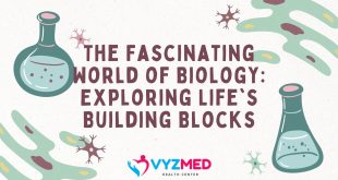 The Fascinating World of Biology: Exploring Life's Building Blocks