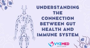Understanding the Connection Between Gut Health and Immune System