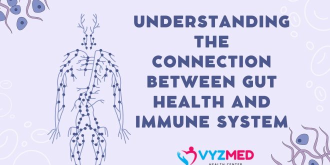 Understanding the Connection Between Gut Health and Immune System