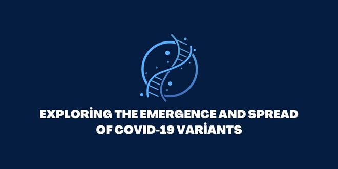 Exploring the Emergence and Spread of COVID-19 Variants
