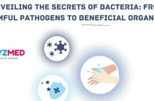 Unveiling the Secrets of Bacteria: From Harmful Pathogens to Beneficial Organisms