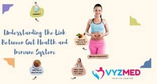 Gut Health and Immune System