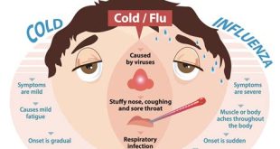 The Difference Between a Cold and the Flu: Know the Symptoms