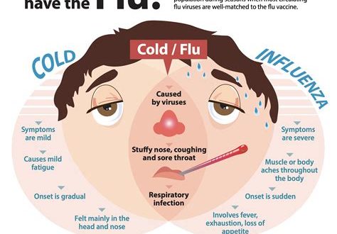 The Difference Between a Cold and the Flu: Know the Symptoms