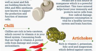 The Role of Nutrition in Boosting Immunity: A Comprehensive Guide