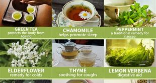 Exploring the Benefits of Herbal Tea for Overall Health