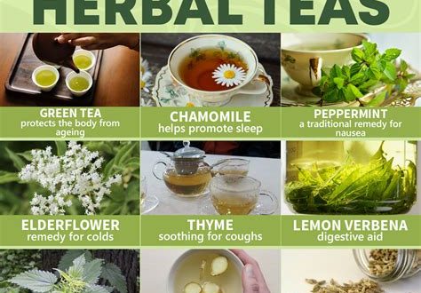 Exploring the Benefits of Herbal Tea for Overall Health