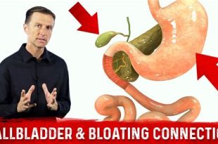 Understanding the Connection Between Bloating and Digestive Health