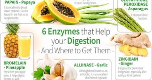 Natural Ways to Support Enzyme Production in the Body