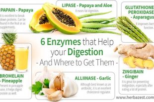 Natural Ways to Support Enzyme Production in the Body
