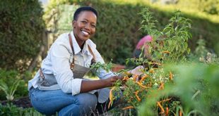 The Benefits of Gardening and Horticulture Therapy