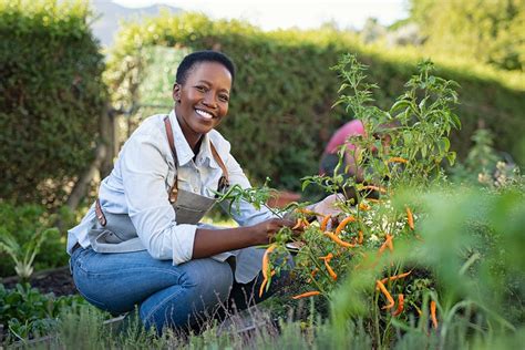 The Benefits of Gardening and Horticulture Therapy