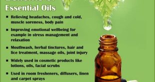 The Benefits of Aromatherapy and Essential Oils