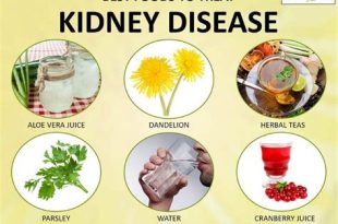 How to Prevent and Treat Kidney Disease