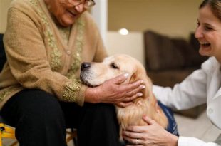 The Benefits of Pets and Animal Therapy for Your Health