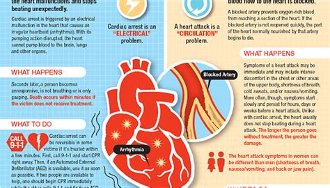 How to Prevent and Treat Heart Disease