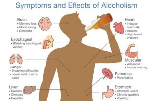 The Effects of Alcohol and Drugs on Your Health