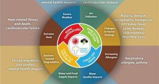 The Effects of Climate Change on Human Health